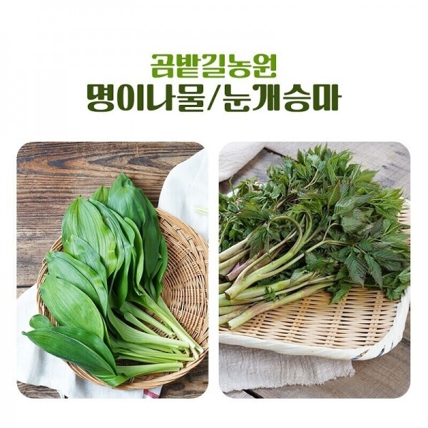 강원더몰,[Live 특가]곰밭길농원 명이나물(산마늘) 1kg